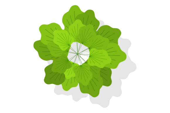Download Outdoor Plant from Above. Park Botany to - Botany Collection